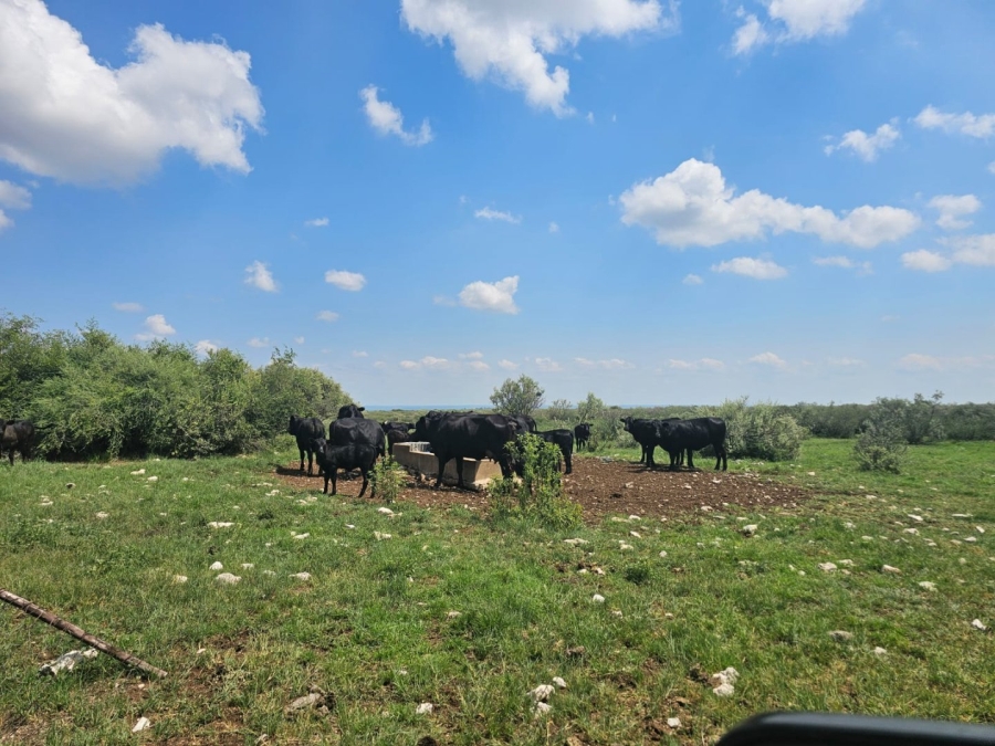 4 Bedroom Property for Sale in Jan Kempdorp Rural Northern Cape
